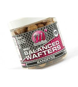15mm Balanced Wafters - Banoffee (M230044)