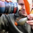 500ml Betastim Liquid - Dna Baits