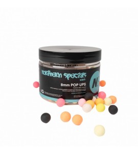 8mm Northern Specials Minis Pop Ups - CC Moore