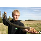 Eazi Stik 25mm [TS25]