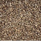 Hempseed 1Kg