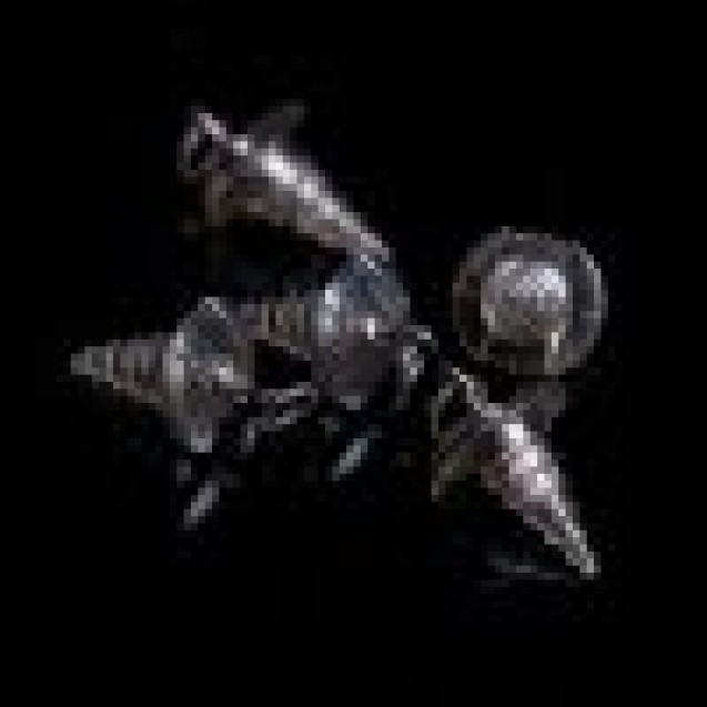 Hook Ring Bait Screws - Ridgemonkey