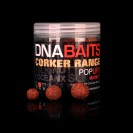 12mm Secret 7 Corker Popups - DNA