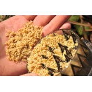 Krusha - Small (KKS100)