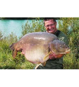 Size 2 - Kurv Shank Hook [KKS2]