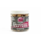 12mm Balanced Wafters - Banoffee (M23073)