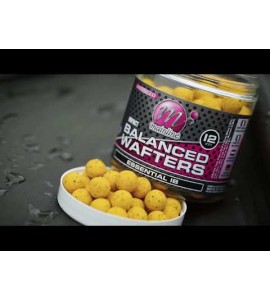 15mm Balanced Wafters - Essential IB