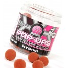 15mm Dedicated Pop-ups - Hybrid