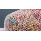 37mm Nash PVA Mesh Webcast (1mm holes)