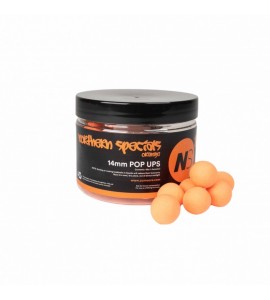 13 - 14mm Northern Specials Orange Pop Ups - CC Moore