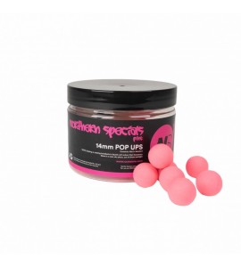 13 - 14mm Northern Specials Pink Pop Ups - CC Moore