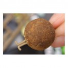 Extenda Stops - meduim - (KEXSM)